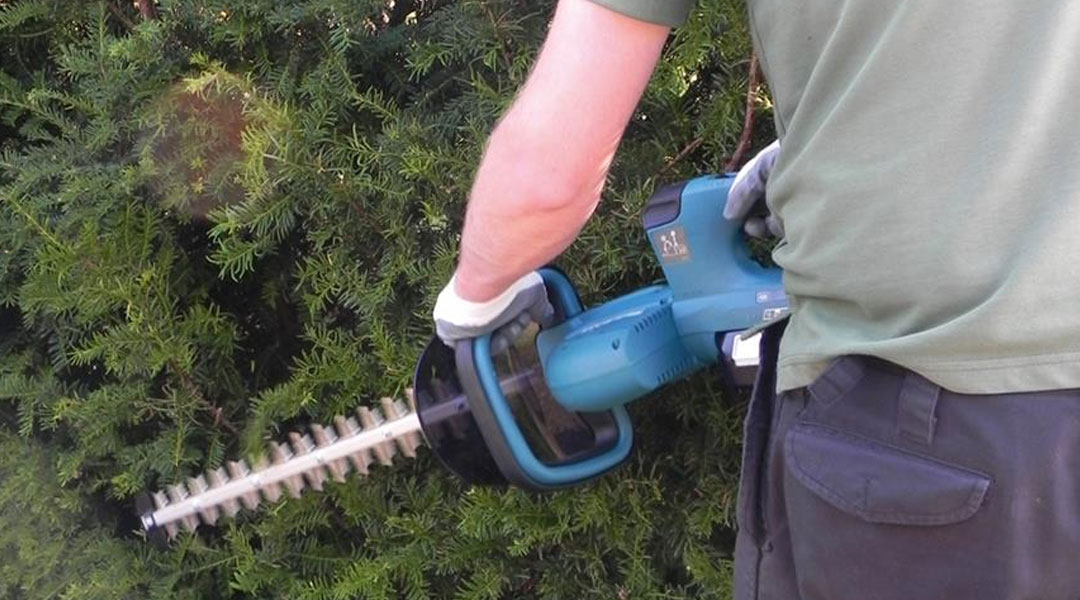 Toptopdeal Hedge Trimmers Vs Hedge Cutters