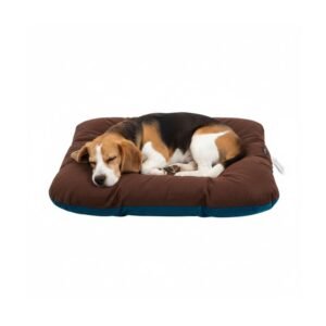 Pet Beds Furniture for Comfortable Sleeping & Resting