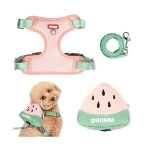 Pet Collars, Leashes & Harnesses for Dogs and Cats